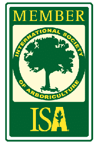 International Society of Arboriculture member